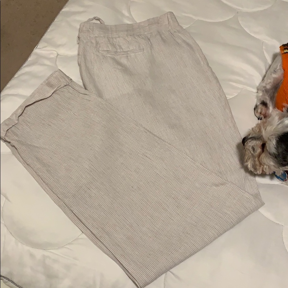 Ladies Pants